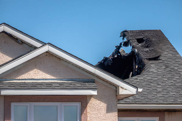 Top rated local Odor Removal specialists in Belleair Beach, FL